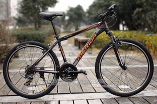 美利達自行車請問哪一款的 浮雕 標志是凸出來的